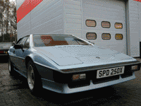 81 Turbo